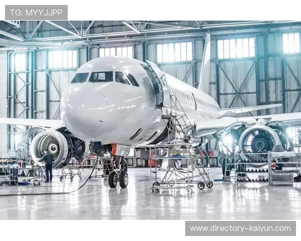 法甲限制博彩合作伙伴 规范行业发展 法甲限制博彩合作伙伴 规范行业发展